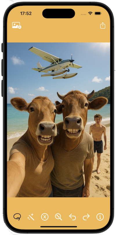 Before - vacation photo with strangers